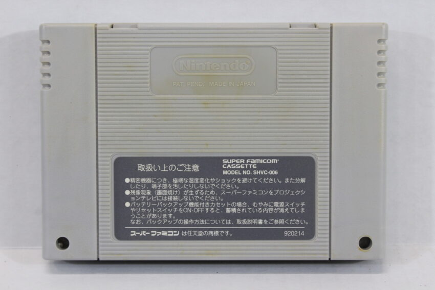 Hiryuu no Ken Golden Fighter (C) Nintendo Super Famicom SFC