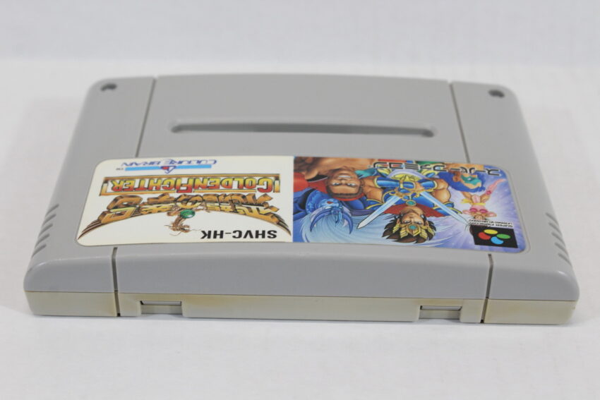 Hiryuu no Ken Golden Fighter (C) Nintendo Super Famicom SFC