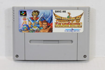Hiryuu no Ken Golden Fighter (B) Nintendo Super Famicom SFC